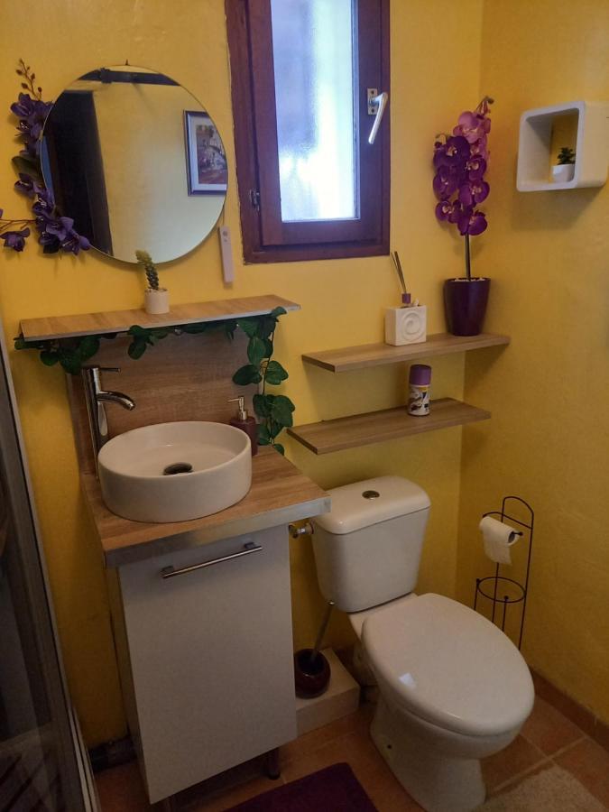 Bed and Breakfast Le violet à Gaillac Extérieur photo
